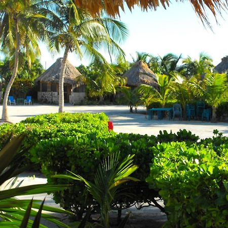 Hotel Costa De Cocos à Xcalak Extérieur photo