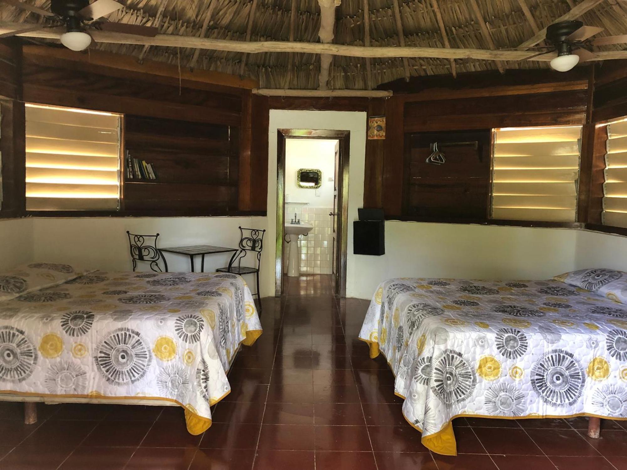Hotel Costa De Cocos à Xcalak Extérieur photo