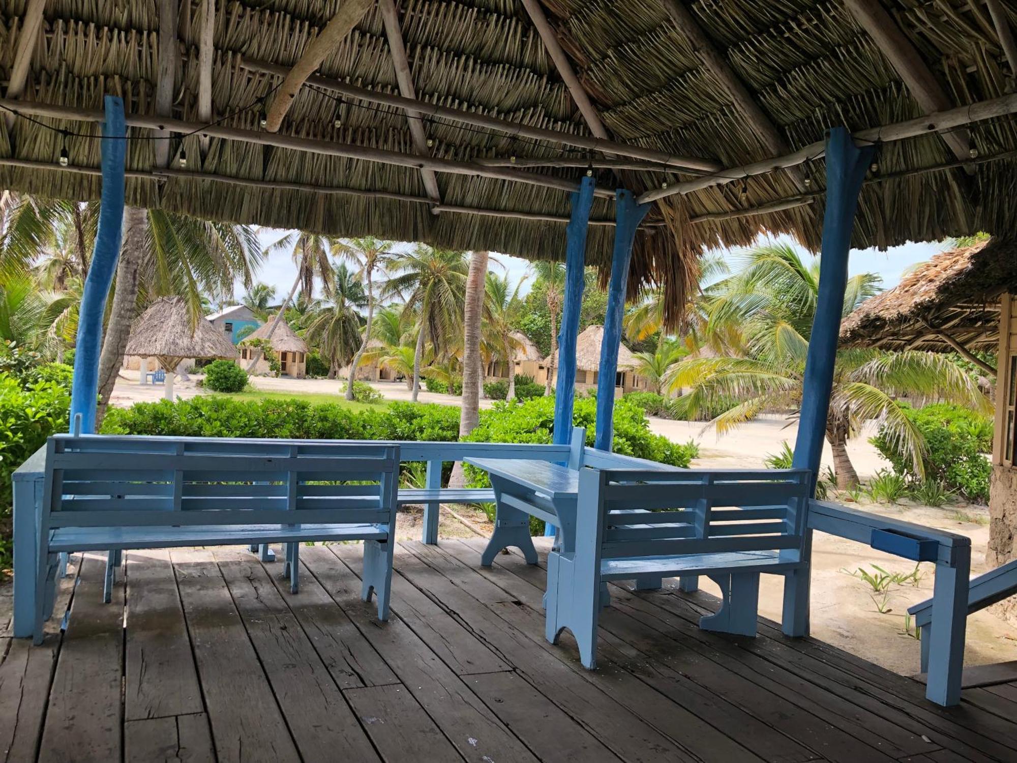 Hotel Costa De Cocos à Xcalak Extérieur photo