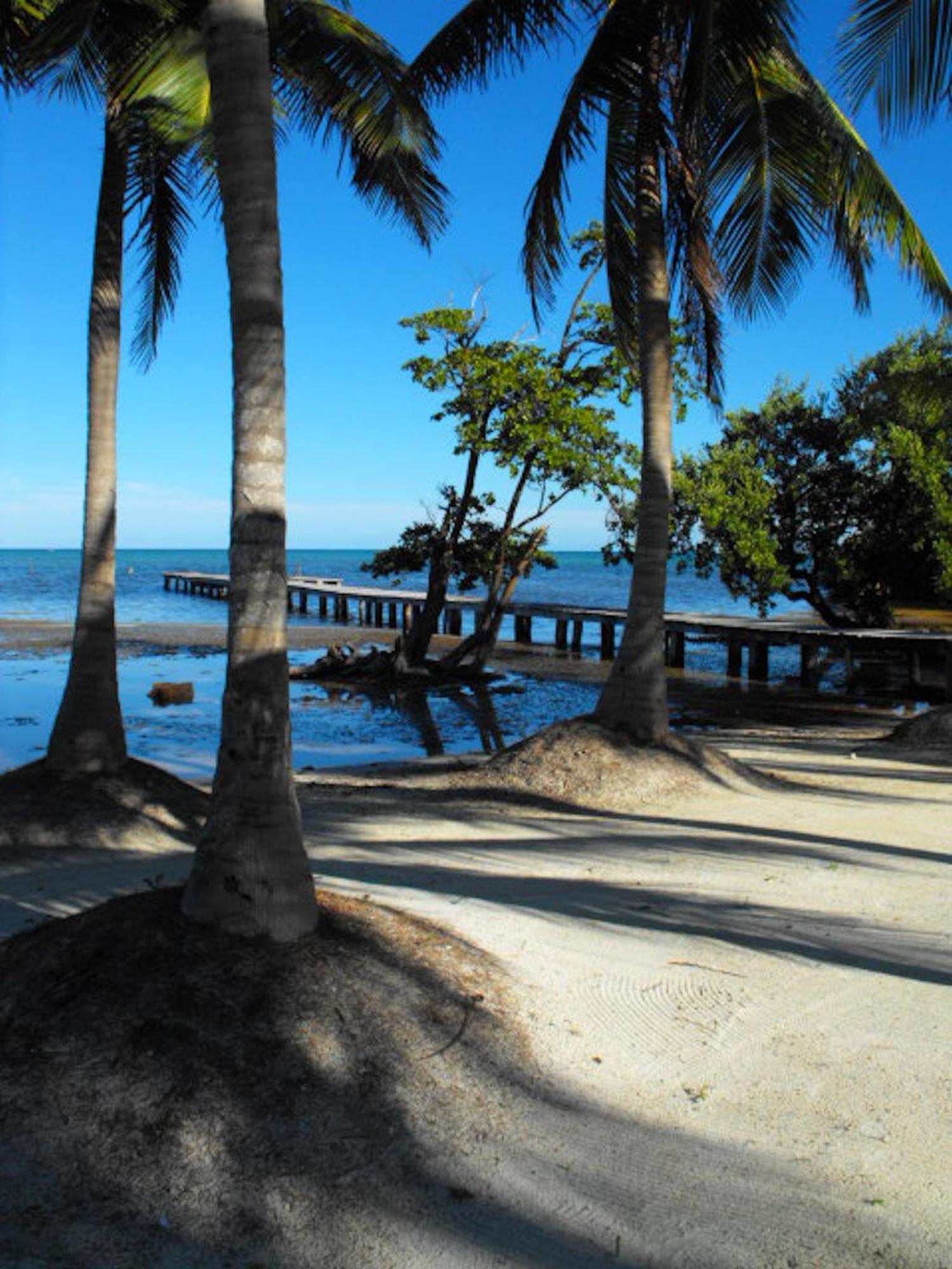 Hotel Costa De Cocos à Xcalak Extérieur photo