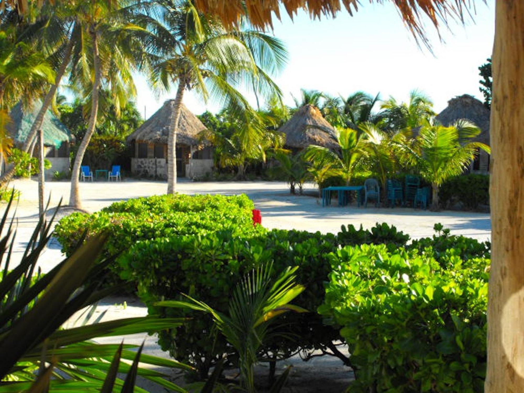 Hotel Costa De Cocos à Xcalak Extérieur photo